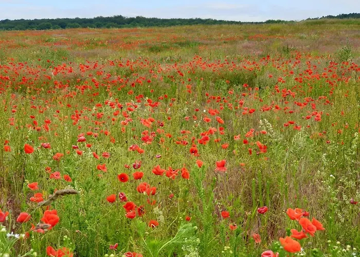 Hotell Bianca Am Huy