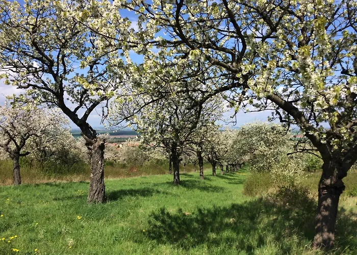 Hotell Bianca Am Huy Dingelstedt